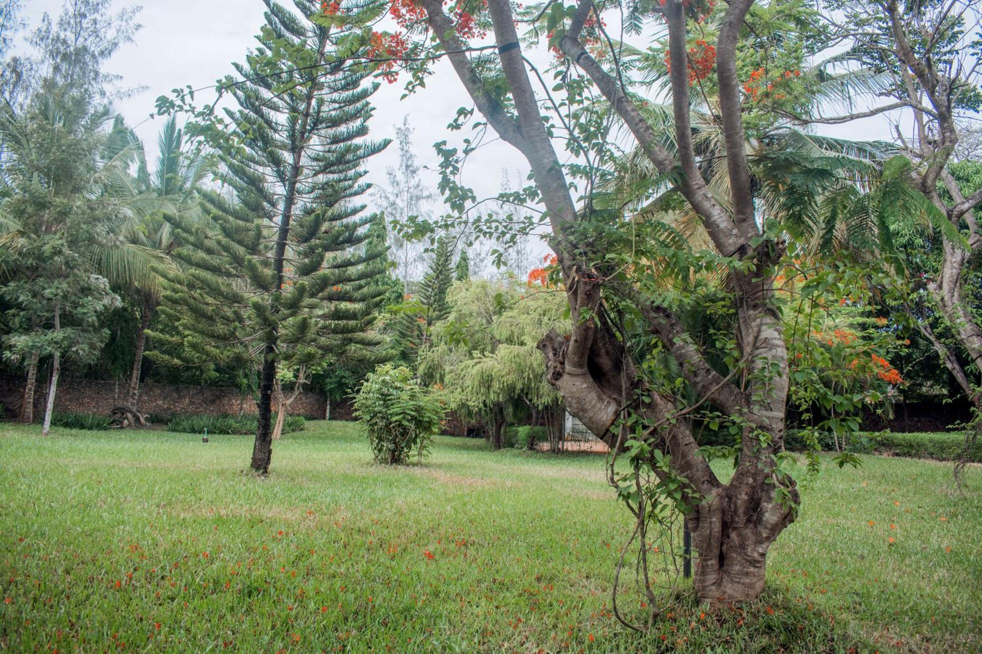 Kijani Cottages In Diani Диани Бийч Екстериор снимка
